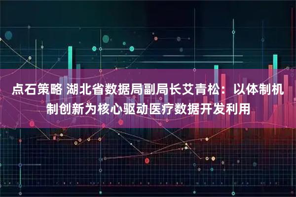 点石策略 湖北省数据局副局长艾青松：以体制机制创新为核心驱动医疗数据开发利用