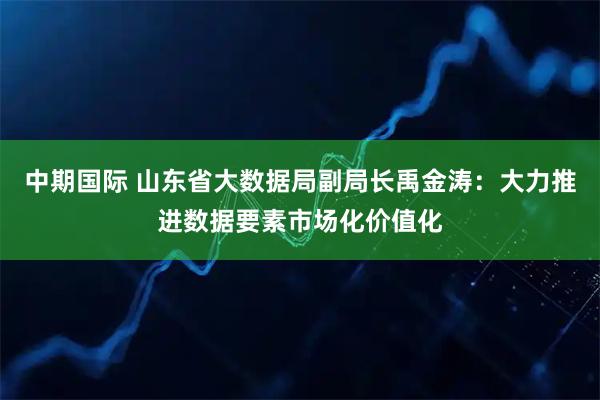 中期国际 山东省大数据局副局长禹金涛：大力推进数据要素市场化价值化