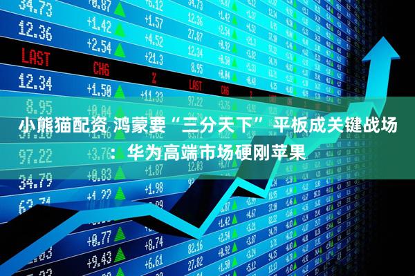 小熊猫配资 鸿蒙要“三分天下” 平板成关键战场：华为高端市场硬刚苹果