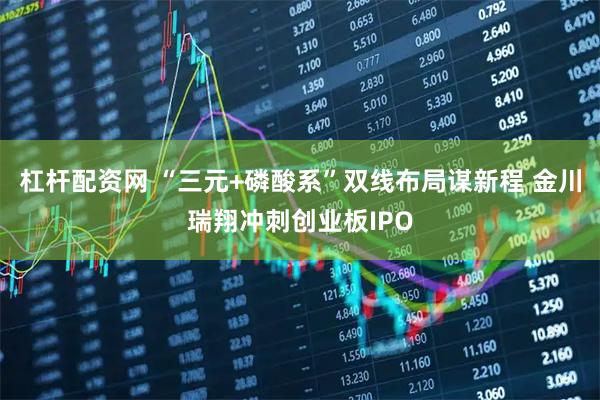杠杆配资网 “三元+磷酸系”双线布局谋新程 金川瑞翔冲刺创业板IPO